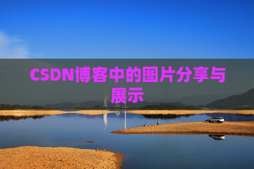 CSDN博客中的图片分享与展示